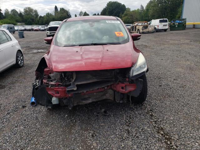 1FMCU9H99DUA49023 - 2013 FORD ESCAPE SEL RED photo 5