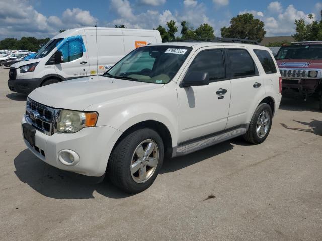 2010 FORD ESCAPE XLT, 