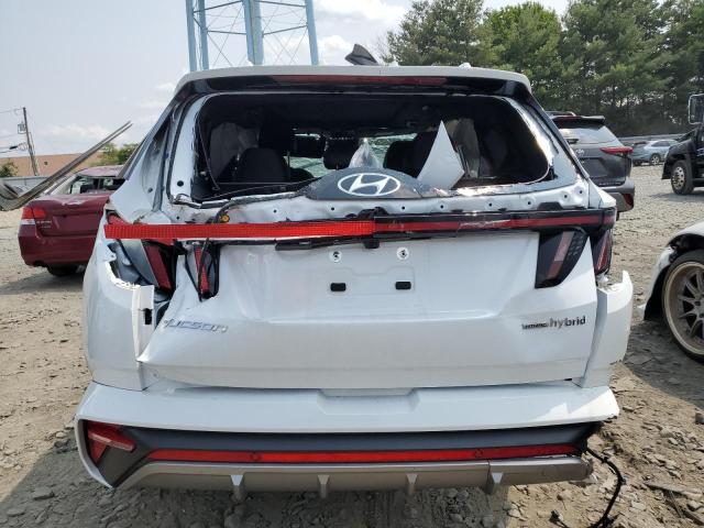 KM8JFCD10RU147833 - 2024 HYUNDAI TUCSON N LINE WHITE photo 6