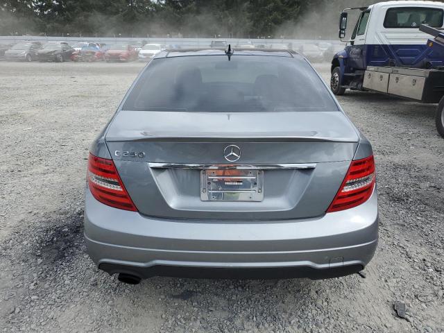 WDDGF4HB5DR273002 - 2013 MERCEDES-BENZ C 250 SILVER photo 6