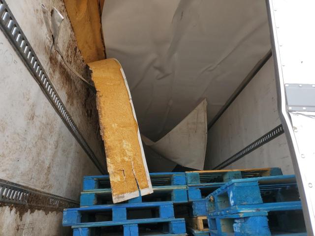 1UYVS2539M2208002 - 2021 UTILITY VS2RA Սպիտակ լուսանկար 8