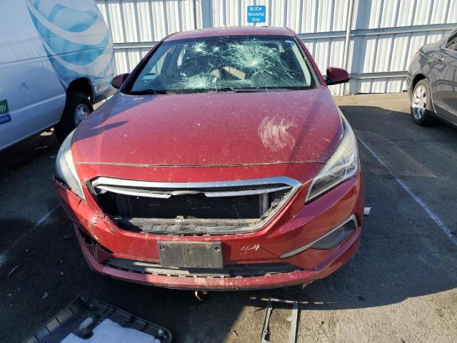 5NPE24AF8GH433458 - 2016 HYUNDAI SONATA SE RED photo 5