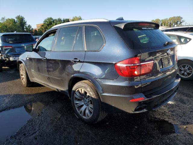 5UXZV8C54D0C16259 - 2013 BMW X5 XDRIVE50I BLUE photo 2