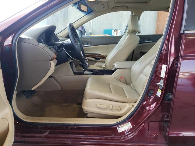 1HGCP36839A026415 - 2009 HONDA ACCORD EXL BURGUNDY photo 7