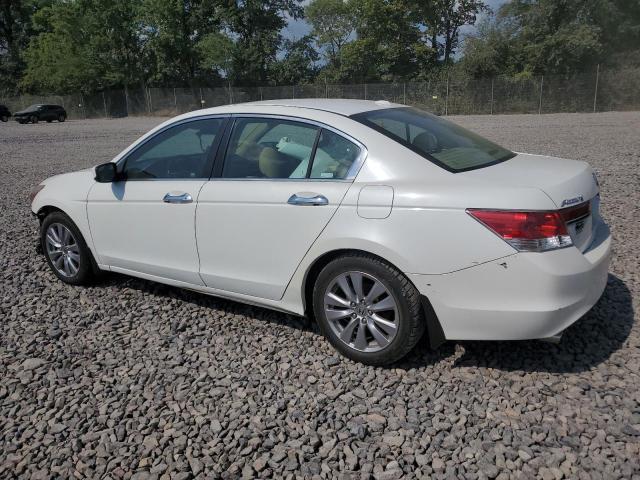 1HGCP3F85CA038234 - 2012 HONDA ACCORD EXL WHITE photo 2