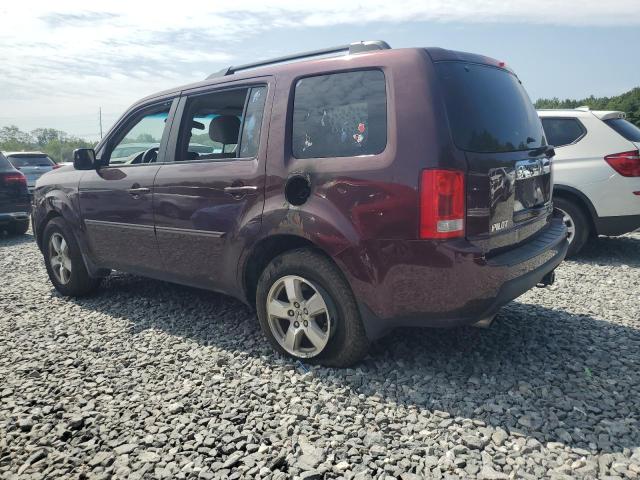 5FNYF48429B047724 - 2009 HONDA PILOT EX მუქწითელი ფოტო 2