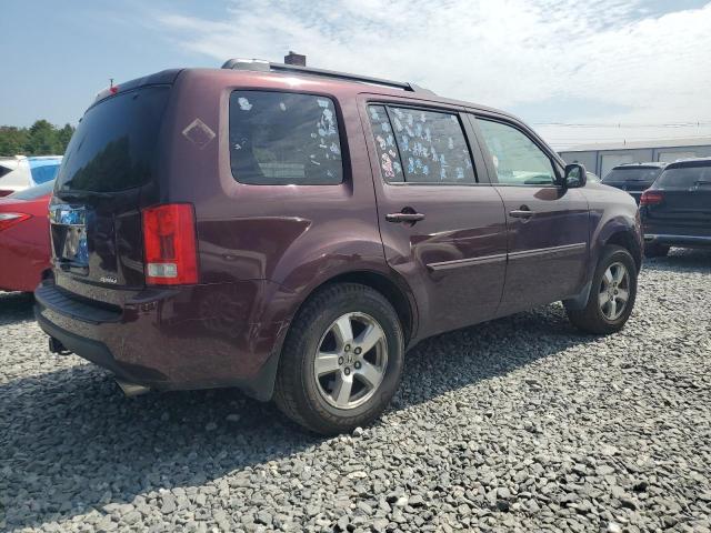 5FNYF48429B047724 - 2009 HONDA PILOT EX მუქწითელი ფოტო 3