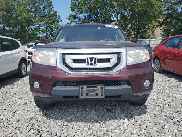 5FNYF48429B047724 - 2009 HONDA PILOT EX მუქწითელი ფოტო 5