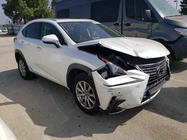 JTJBJRBZ4K2124394 - 2019 LEXUS NX 300H WHITE photo 4