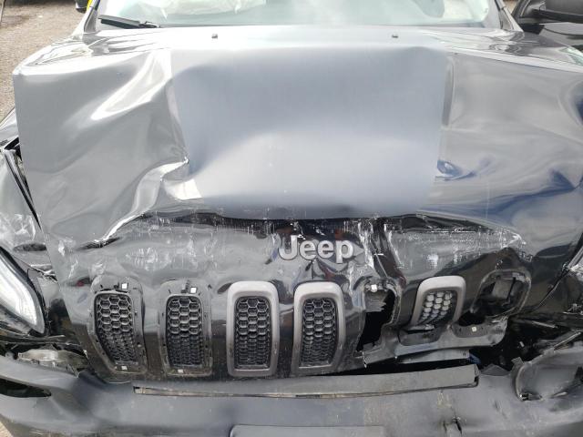 1C4PJMBS3GW365409 - 2016 JEEP CHEROKEE TRAILHAWK Qara foto 12