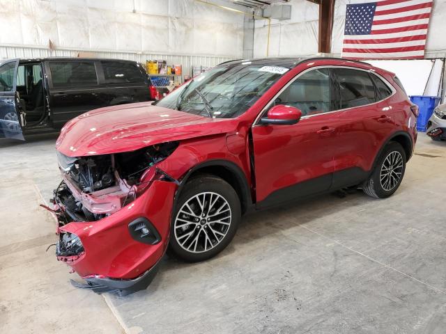 2024 FORD ESCAPE, 