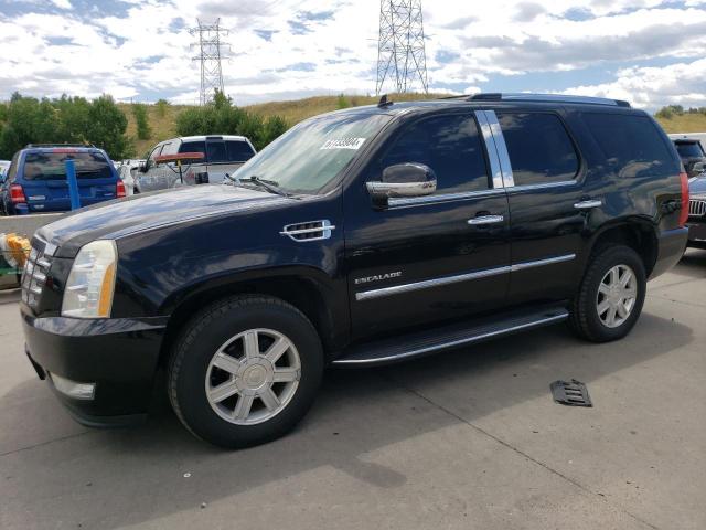 2010 CADILLAC ESCALADE, 