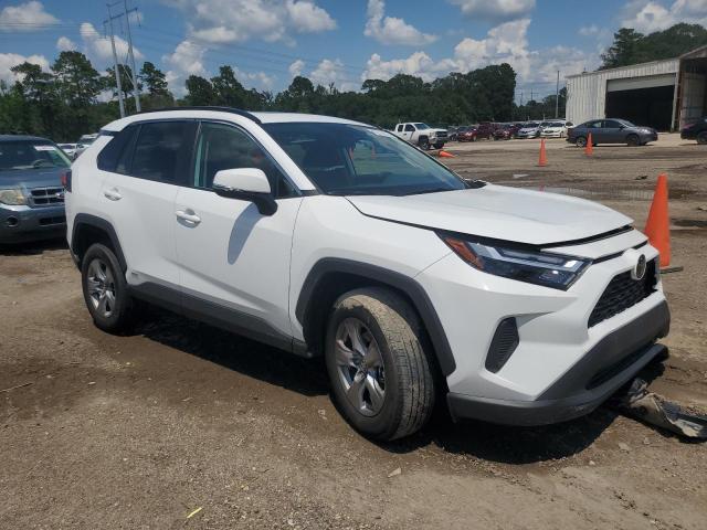 4T3RWRFV7SU180640 - 2025 TOYOTA RAV4 XLE WHITE photo 4