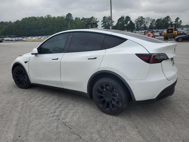 5YJYGDEE1LF011217 - 2020 TESLA MODEL Y Ağ foto 2