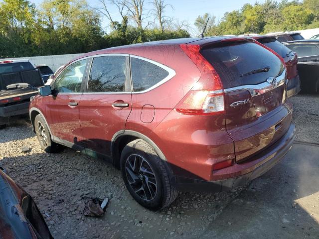 5J6RM4H40GL098931 - 2016 HONDA CR-V SE RED photo 2