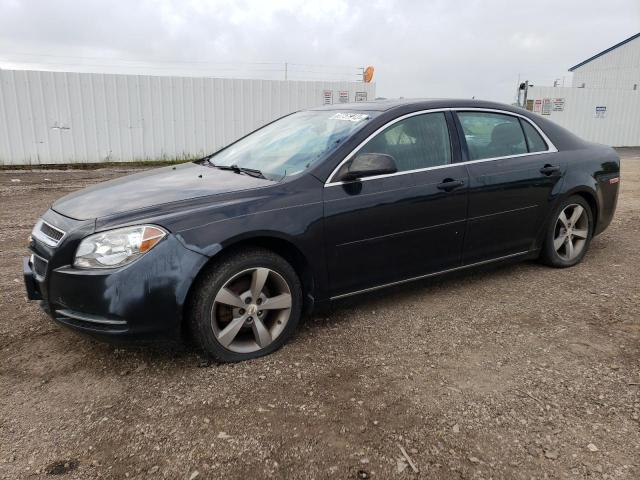 1G1ZC5E14BF241789 - 2011 CHEVROLET MALIBU 1LT 黑色 照片 1