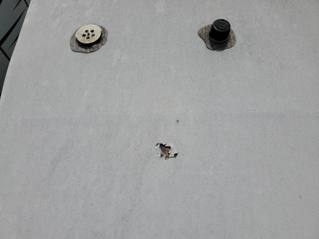 573FR2925J3406056 - 2018 GRAND DESI REFLECTION TWO TONE photo 9