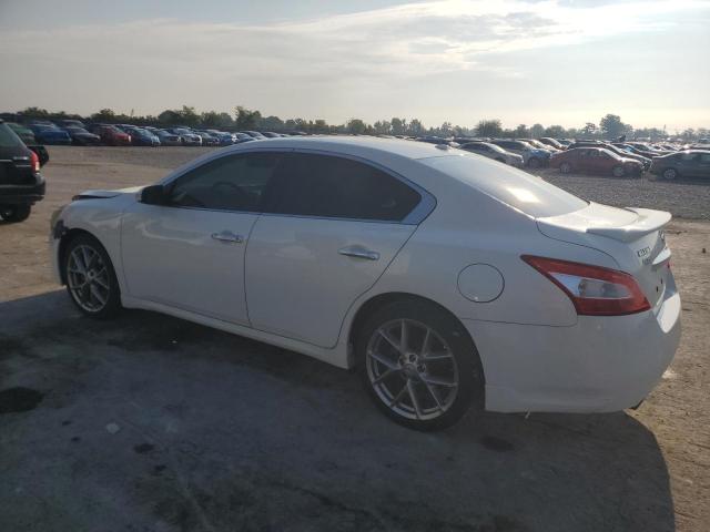 1N4AA5AP8BC834213 - 2011 NISSAN MAXIMA S WHITE photo 2