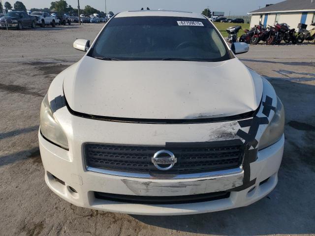 1N4AA5AP8BC834213 - 2011 NISSAN MAXIMA S WHITE photo 5