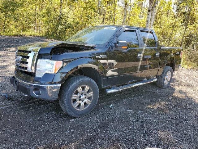 2009 FORD F150 SUPERCREW, 