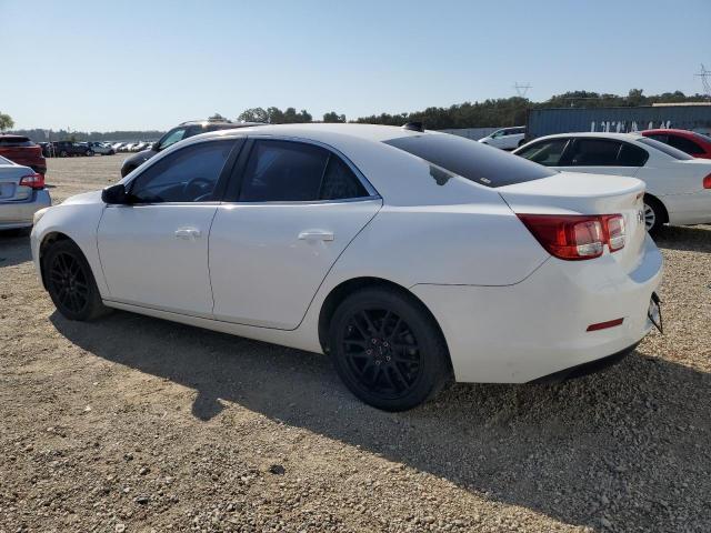 1G11B5SA7DF194815 - 2013 CHEVROLET MALIBU LS Білий фото 2