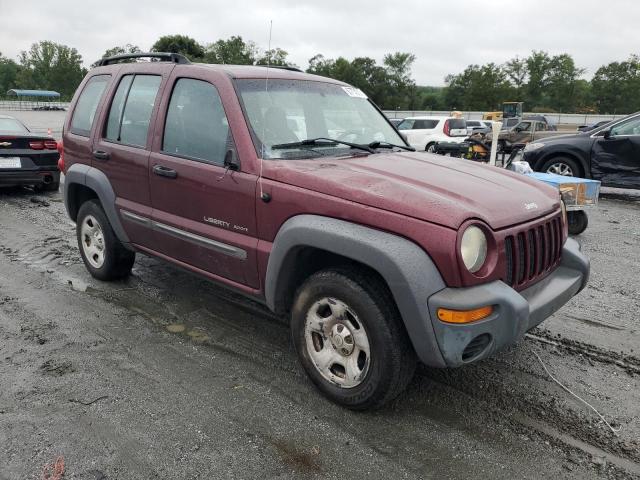 1J4GK48K73W622385 - 2003 JEEP LIBERTY SPORT Bordo fotoğraf 4