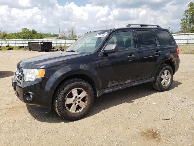 2011 FORD ESCAPE XLT, 