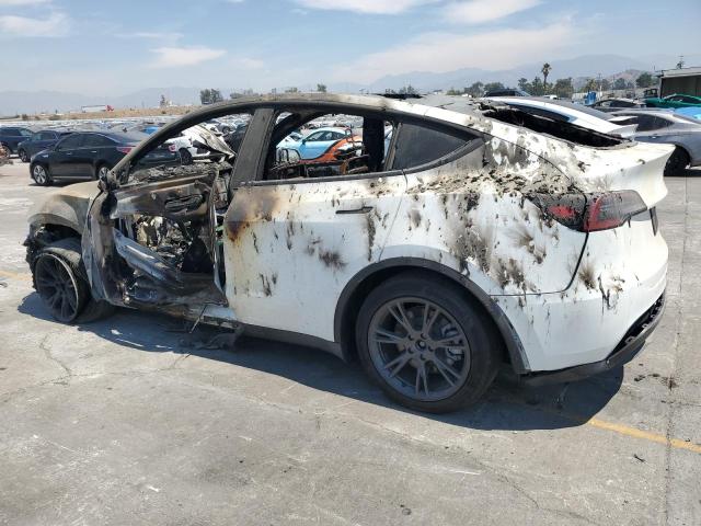 7SAYGDED5SF313117 - 2025 TESLA MODEL Y WHITE photo 2