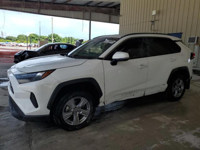 2024 TOYOTA RAV4 XLE, 