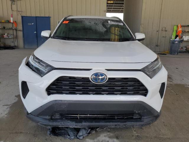 4T3RWRFV2RU138421 - 2024 TOYOTA RAV4 XLE WHITE photo 5