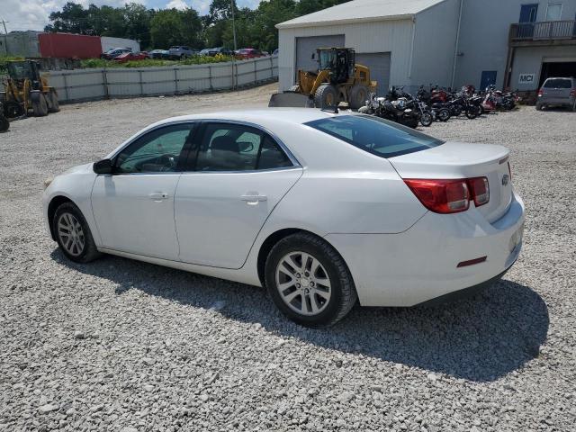 1G11B5SA7DF253037 - 2013 CHEVROLET MALIBU LS Սպիտակ լուսանկար 2