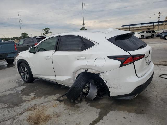 JTJYARBZXK2144675 - 2019 LEXUS NX 300 BASE Ağ foto 2