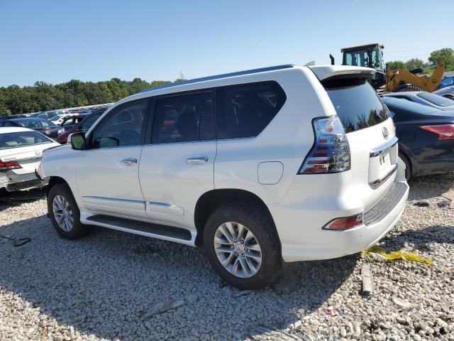 JTJBM7FX0K5235656 - 2019 LEXUS GX 460 WHITE photo 2