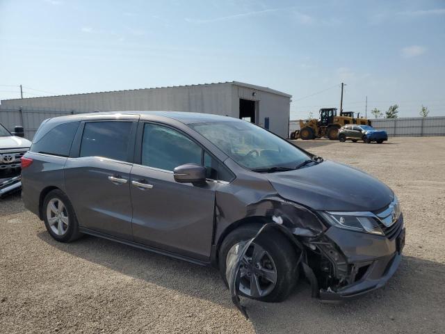 5FNRL6H7XKB031649 - 2019 HONDA ODYSSEY EXL Gris foto 4