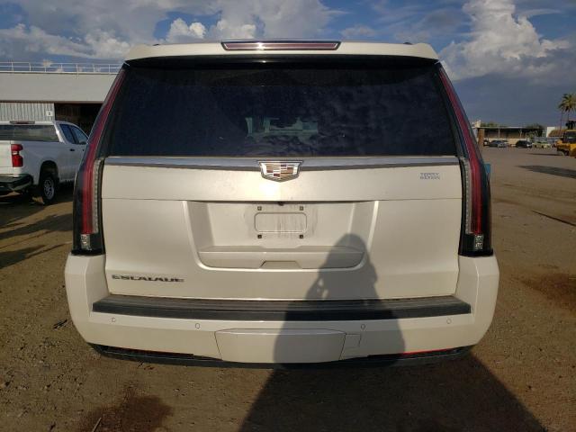 1GYS4NKJ5FR612001 - 2015 CADILLAC ESCALADE PREMIUM BEIGE photo 6