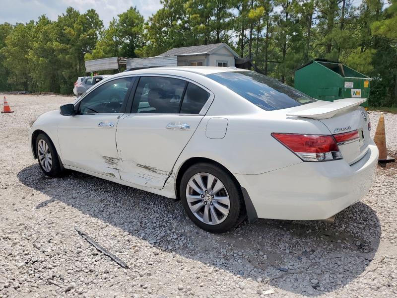 5KBCP3F87BB004298 - 2011 HONDA ACCORD EXL WHITE photo 2