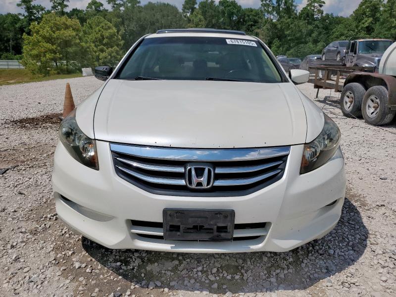 5KBCP3F87BB004298 - 2011 HONDA ACCORD EXL WHITE photo 5