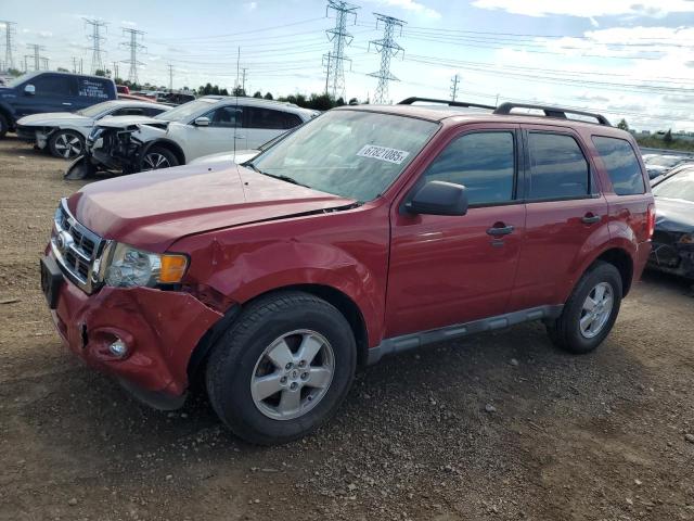 2010 FORD ESCAPE XLT, 