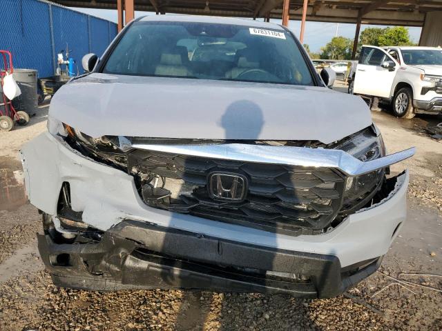 5FNYF8H53RB011976 - 2024 HONDA PASSPORT EXL GRAY photo 5