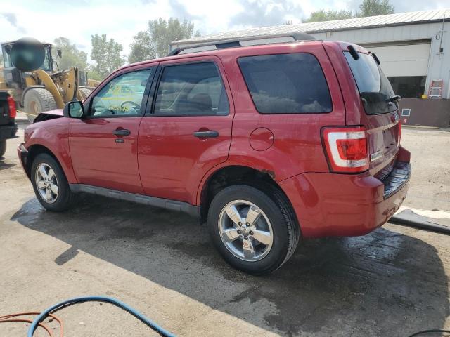 1FMCU0DG3CKB50312 - 2012 FORD ESCAPE XLT 红色 照片 2