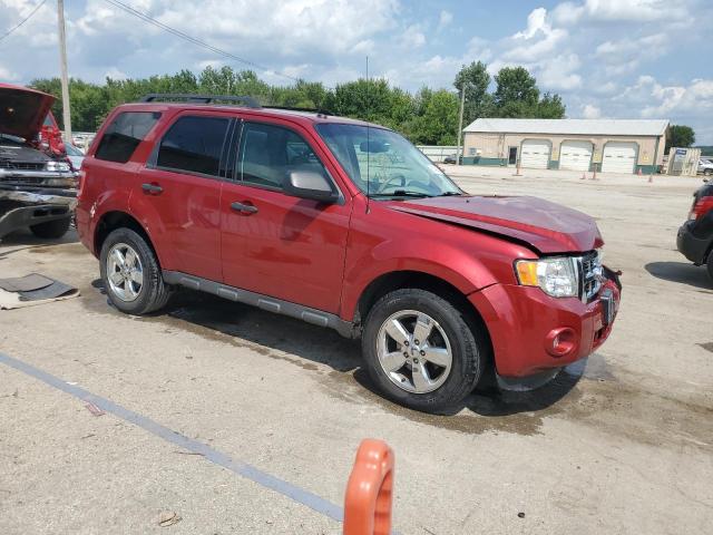 1FMCU0DG3CKB50312 - 2012 FORD ESCAPE XLT 红色 照片 4