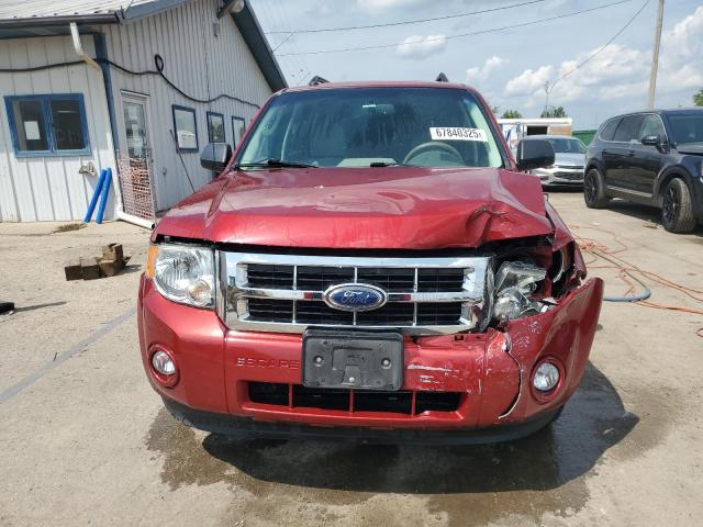 1FMCU0DG3CKB50312 - 2012 FORD ESCAPE XLT 红色 照片 5