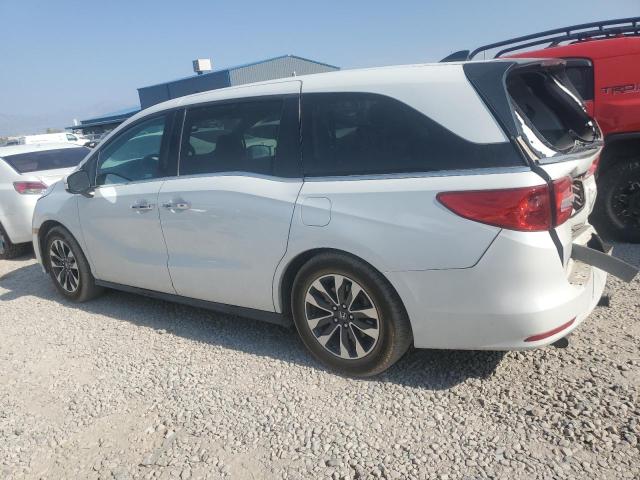 5FNRL6H75MB012123 - 2021 HONDA ODYSSEY EXL WHITE photo 2