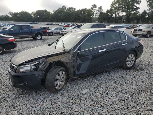 2010 HONDA ACCORD EXL, 