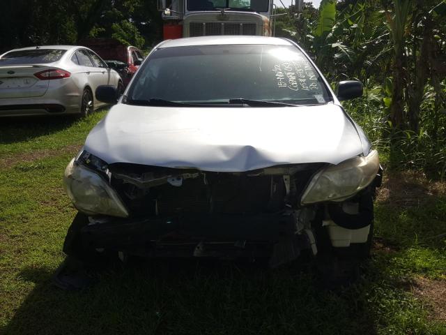 JTDBL40E399044005 - 2009 TOYOTA COROLLA BASE 银色 照片 5