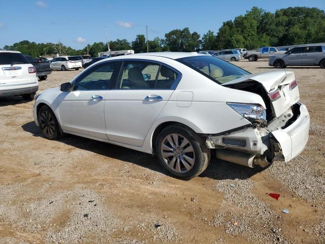 1HGCP3F89BA024514 - 2011 HONDA ACCORD EXL WHITE photo 2