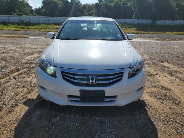 1HGCP3F89BA024514 - 2011 HONDA ACCORD EXL WHITE photo 5