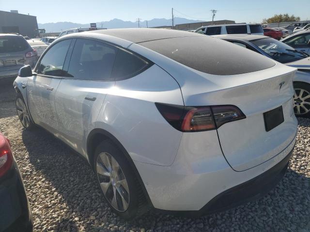 5YJYGDEE2MF260983 - 2021 TESLA MODEL Y WHITE photo 2