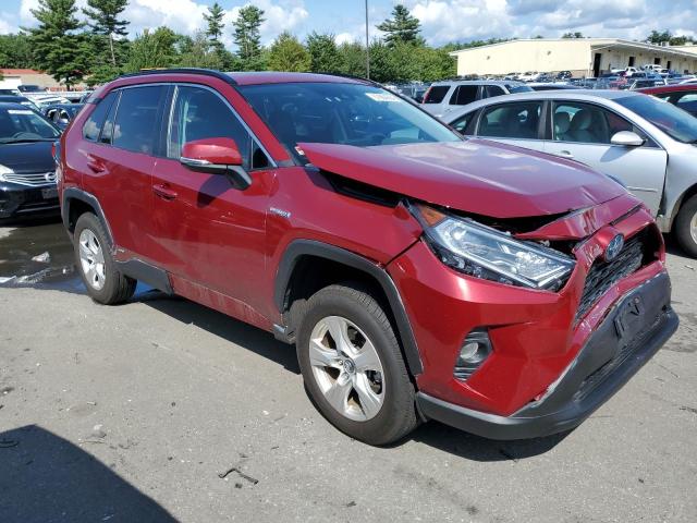 2T3RWRFV7LW052691 - 2020 TOYOTA RAV4 XLE RED photo 4