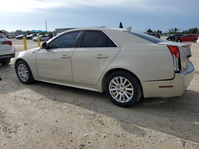 1G6DE5EY5B0147094 - 2011 CADILLAC CTS LUXURY COLLECTION CREAM photo 2